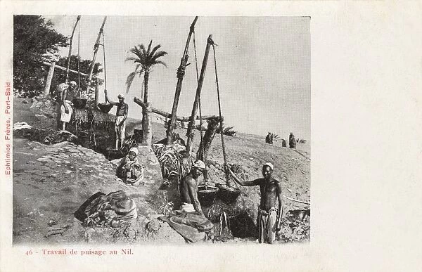 Egyptian Shadoof - Irrigation system on the River Nile