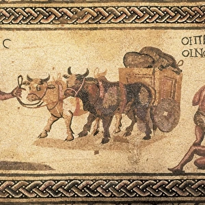 CYPRUS. Paphos. Nea Paphos. Mosaics of the House