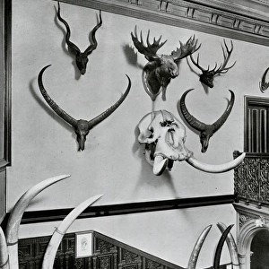 Corner of staircase at No. 6, Norfolk Street, Joseph Rodgers and Sons Ltd, cutlery manufacturers, 1911