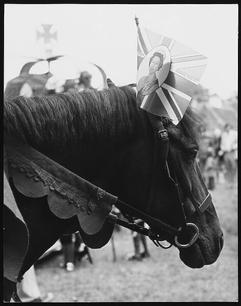 Jubilee Horse 1977