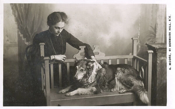 Studio portrait, woman with dog on bench