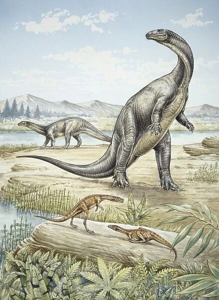 Upper Triassic dinosaurs discovered in Southern Germany