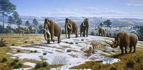 Mammals of the Pleistocene era