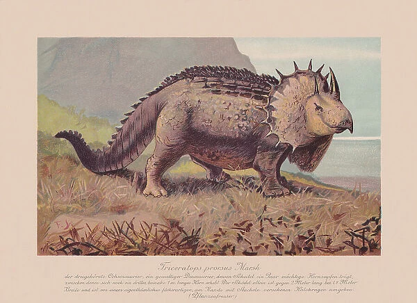 Triceratops prorsus, chromolithograph, published in 1900