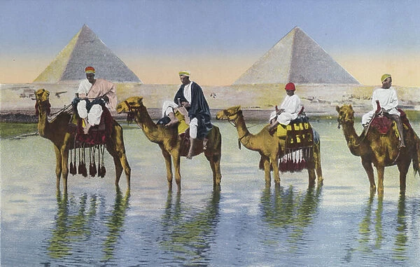 Cairo, Camels on the Nile near the Pyramids (coloured photo)