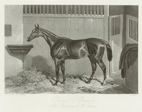 Daniel O Rourke, foaled 1849 (b  /  w photo)