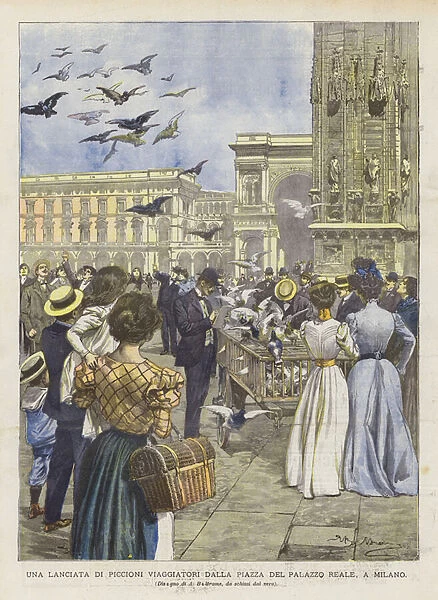 A Launch Of Traveling Pigeons From The Piazza Del Palazzo Reale, In Milan (Colour Litho)