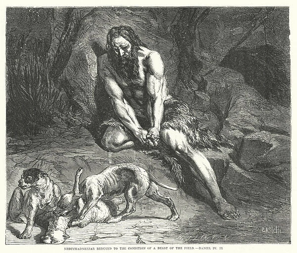 Nebuchadnezzar reduced to the Condition of a Beast of the Field, Daniel IV, 33 (engraving)