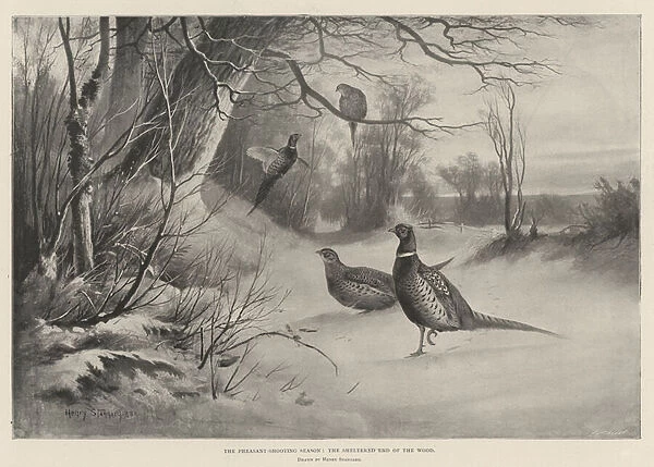 The Pheasant-Shooting Season, the Sheltered End of the Wood (litho)