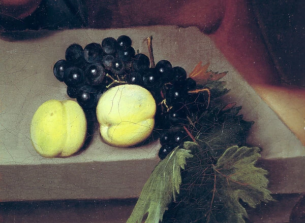 The Sick Bacchus, detail of peaches and grapes, 1591 (oil on canvas) (see 55903)