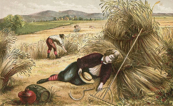 He that sleepeth in harvest