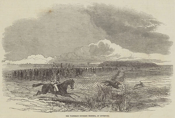 The Waterloo Coursing Meeting, at Liverpool (engraving)