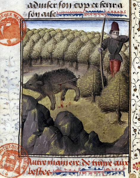 Wild boar hunting - in 'Book of Hunting by Gaston Phoebus, Count of Foix
