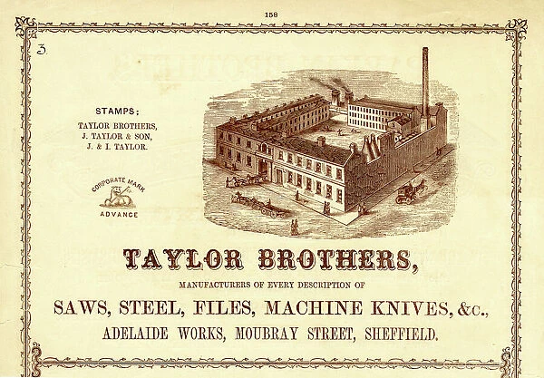 Advertisement for Taylor Brothers, Manufacturers of Saws, Steel, Files, Machine Knives, etc. Adelaide Works, Mowbray Street, 1858