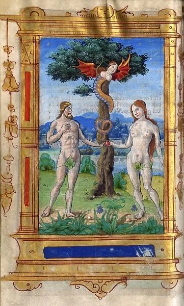 Illustration from the Paris Book of Hours, 1525