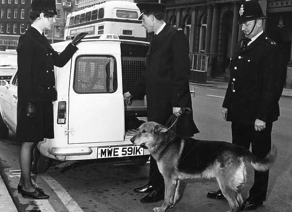 olicemen and policewoman with dog handler, Sheffield, 1972