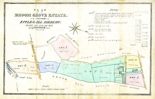 Plan of the Broom Grove [Broomgrove] Estate, in the Township of Ecclesall Bierlow, divided into Lots for Sale, early 19th cent