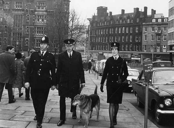 Policeman and policewoman with police dog handler, Sheffield, 1972