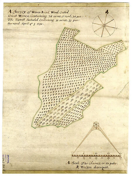 A survey of the Winco-Bank [Wincobank] Wood, called Great Winco... the Howlt included... 1730