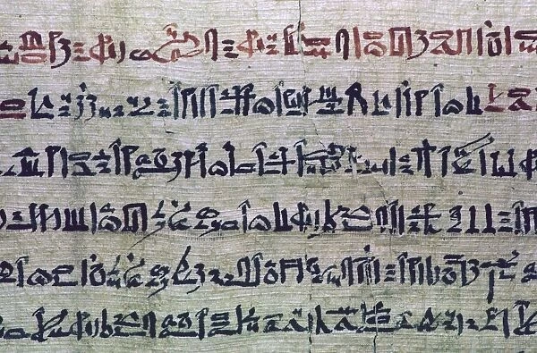 Hieratic Egyptian script from the Book of the Dead