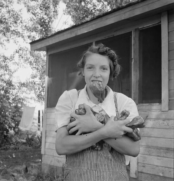 Possibly: Mrs. Schrock takes good care of her family, Yakima Valley, Washington (near Wapato), 1939. Creator: Dorothea Lange