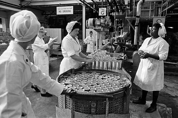 Batchelors food factory, Wadsley Bridge, Sheffield. 4th September 1967