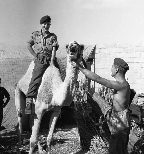 Suez Crisis 1956 Gunner William Graham of a Paratroop Artillery Unit near the front