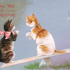 Three cats seesawing on a Christmas postcard
