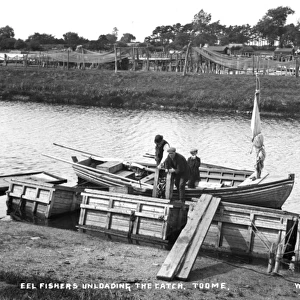Eel Fishers Unloading the Catch. Toome