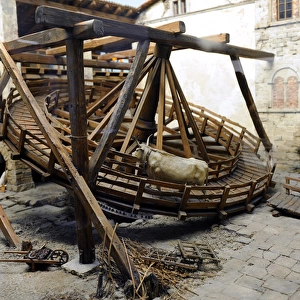 Ox treadmill, uper Italy, ca. 1600. Were used to drive corn
