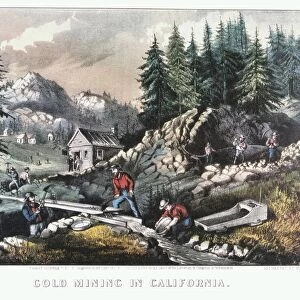 Gold Mining in California. Scenes of the 1849 Californian Gold Rush showing cradling