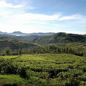 The beauty of Nilgiris countryside