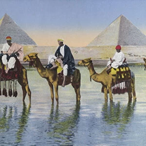 Cairo, Camels on the Nile near the Pyramids (coloured photo)