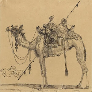 The Camel (pen & ink)