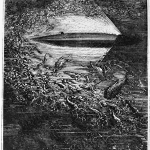 Illustration from 20, 000 Leagues Under the Sea