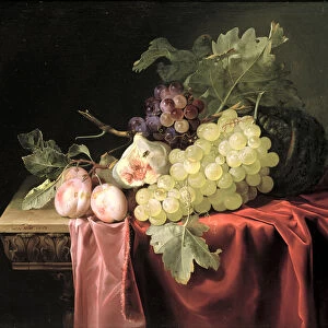A still life with grapes, plums, figs and a melon on a partly draped stone ledge
