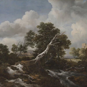 Low Waterfall in a Wooded Landscape with a Dead Beech Tree, c. 1660-70 (oil on canvas)