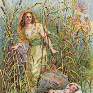 Moses in the Bulrushes (colour litho)