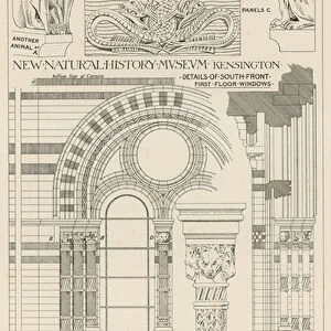 New Natural History Museum, South Kensington, London (engraving)