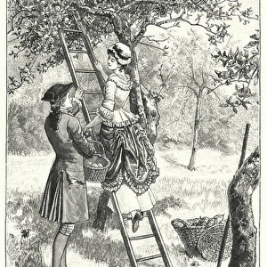 In the orchard (engraving)