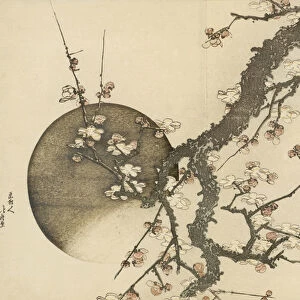 Plum Blossom and the Moon from the book Mount Fuji in Spring (Haru no Fuji), c