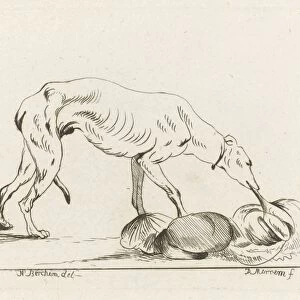 Eating dog, D. Merrem, 1700 - 1800