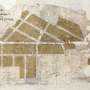 Plan of the second Meadow Hall Freehold Land Societys Estate, 1874