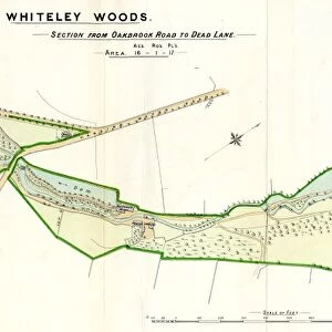 Plan of Whiteley Woods (Part 2) -Whiteley Woods (Part 2) - section from Oakbrook Road to Dead Lane, 1897