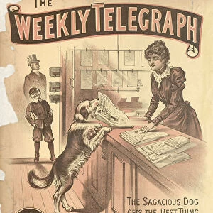 Sheffield Weekly Telegraph poster: The sagacious gog gets the best thing in the shop, 1901
