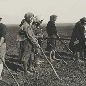 Kolkhos women on the field, Early 1930s