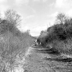 Part of the Derwent Walk stretching along the old railway line from Consett to Swalwell