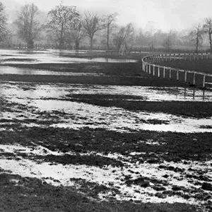 Shirley Park Race Course. A view of the waterlogged condition of the Shirley Park