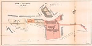 Estates of the late Joseph Ellin, esquire, very valuable freehold building land, villa residences Estates of the late Joseph Ellin, esquire, very valuable freehold building land, villa residences