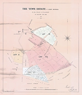 Plan of the Yews Estate, near Worrall, for sale by auction, 1862 Plan of the Yews Estate, near Worrall, for sale by auction, 1862